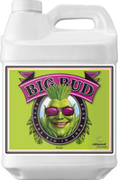 Advanced Nutrients Big Bud - 250 ml (EXPORT) — Engrais